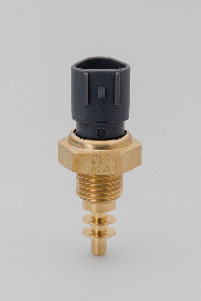 CS-401